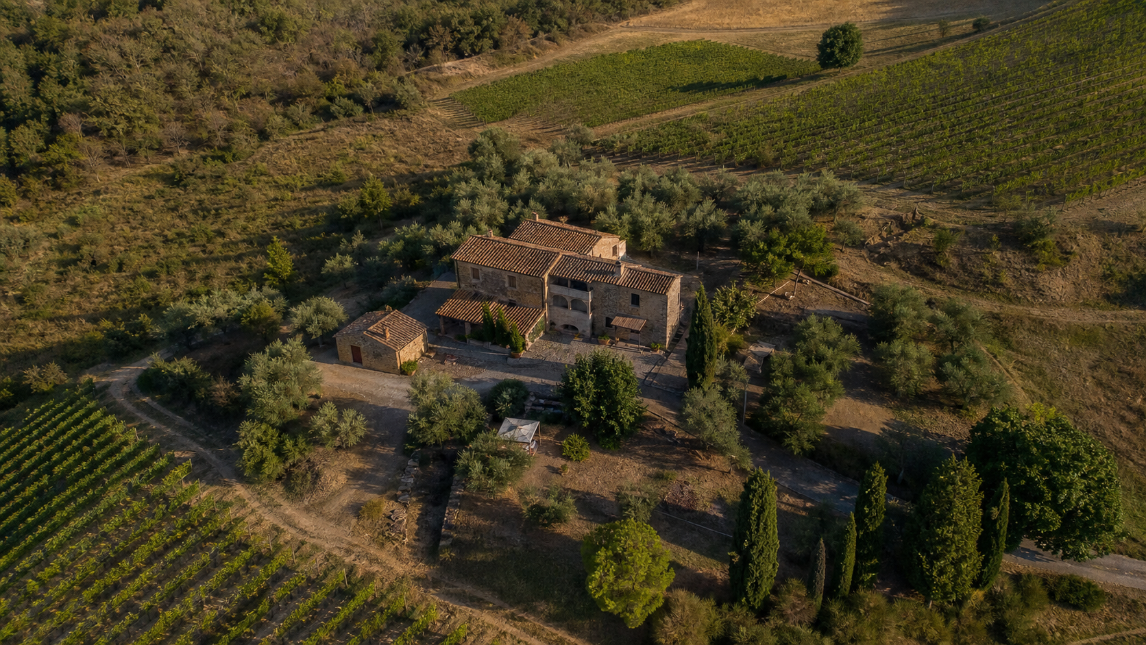 Vista aerea del casale tra uliveti e vigneti geometrici