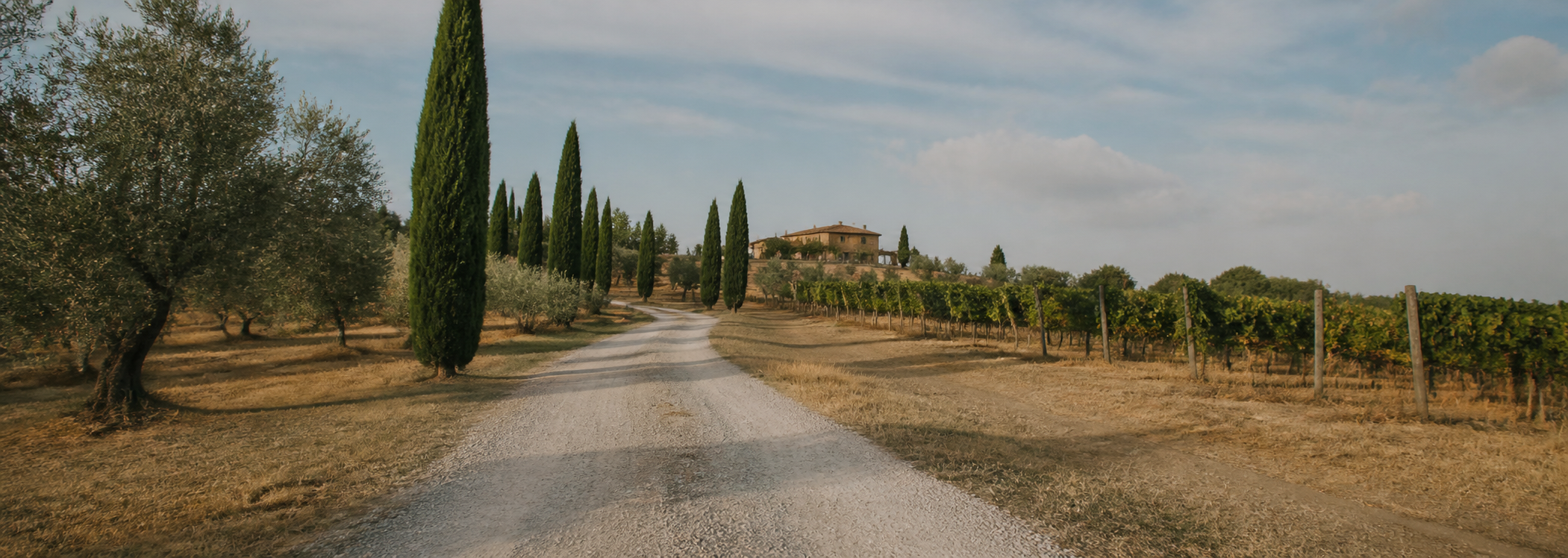 Strada bianca tra cipressi e vigneti che sale verso il casale